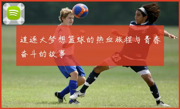 追逐大梦想篮球的热血旅程与青春奋斗的故事