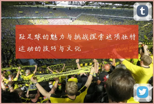 趾足球的魅力与挑战探索这项独特运动的技巧与文化