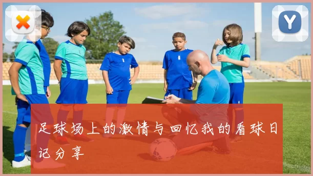 足球场上的激情与回忆我的看球日记分享
